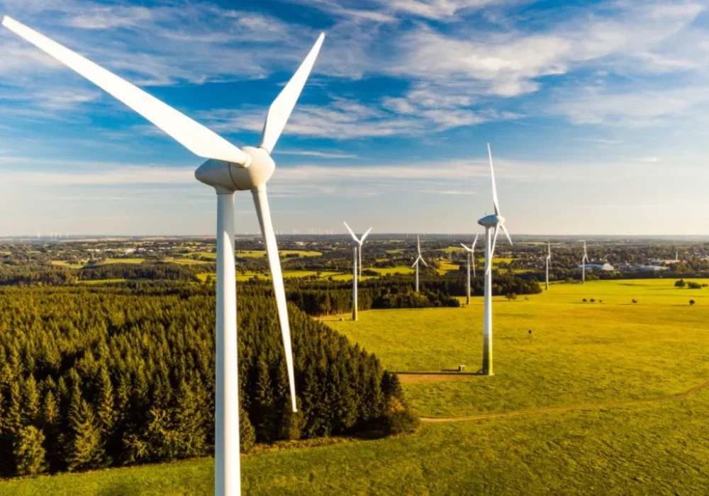 wind-turbines-green-field-forest-1024x682-1